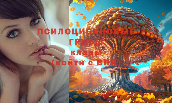 наркотики Алексин