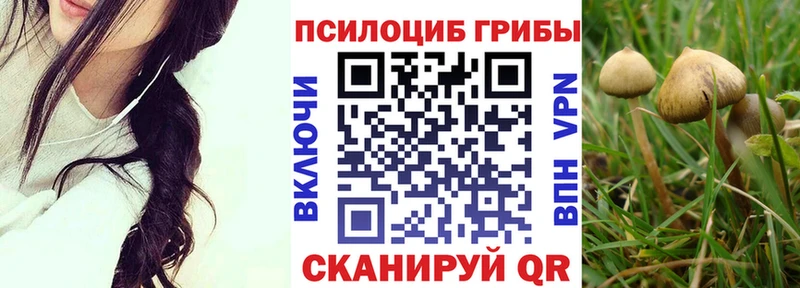 Галлюциногенные грибы прущие грибы  Олонец 