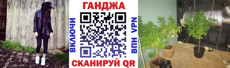 Бошки Шишки планчик  купить закладку  Олонец 